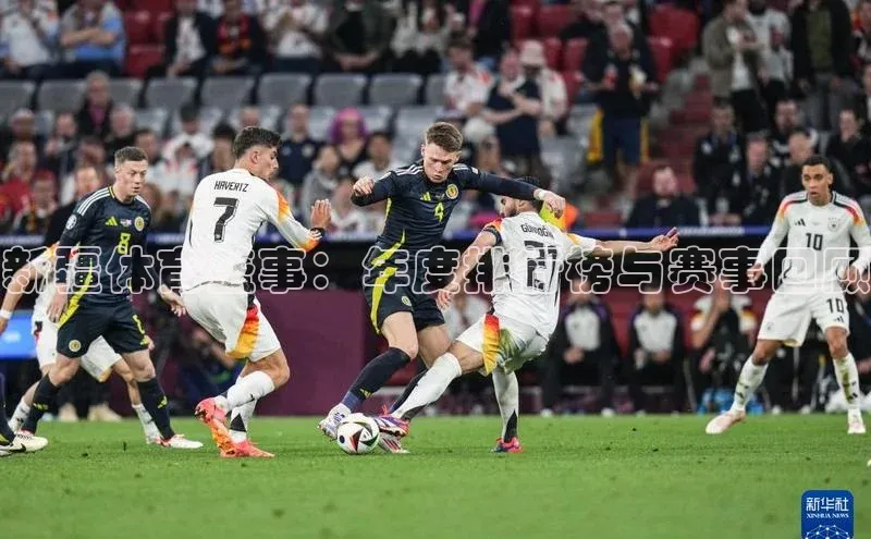 新疆体育盛事：年度排行榜与赛事回顾